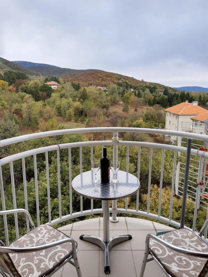 Sky Apartman 索科矿泉村 外观 照片