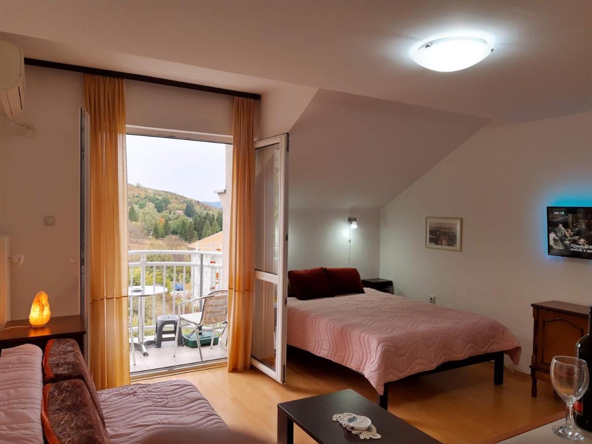 Sky Apartman 索科矿泉村 外观 照片