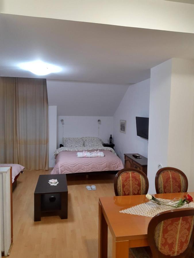 Sky Apartman 索科矿泉村 外观 照片