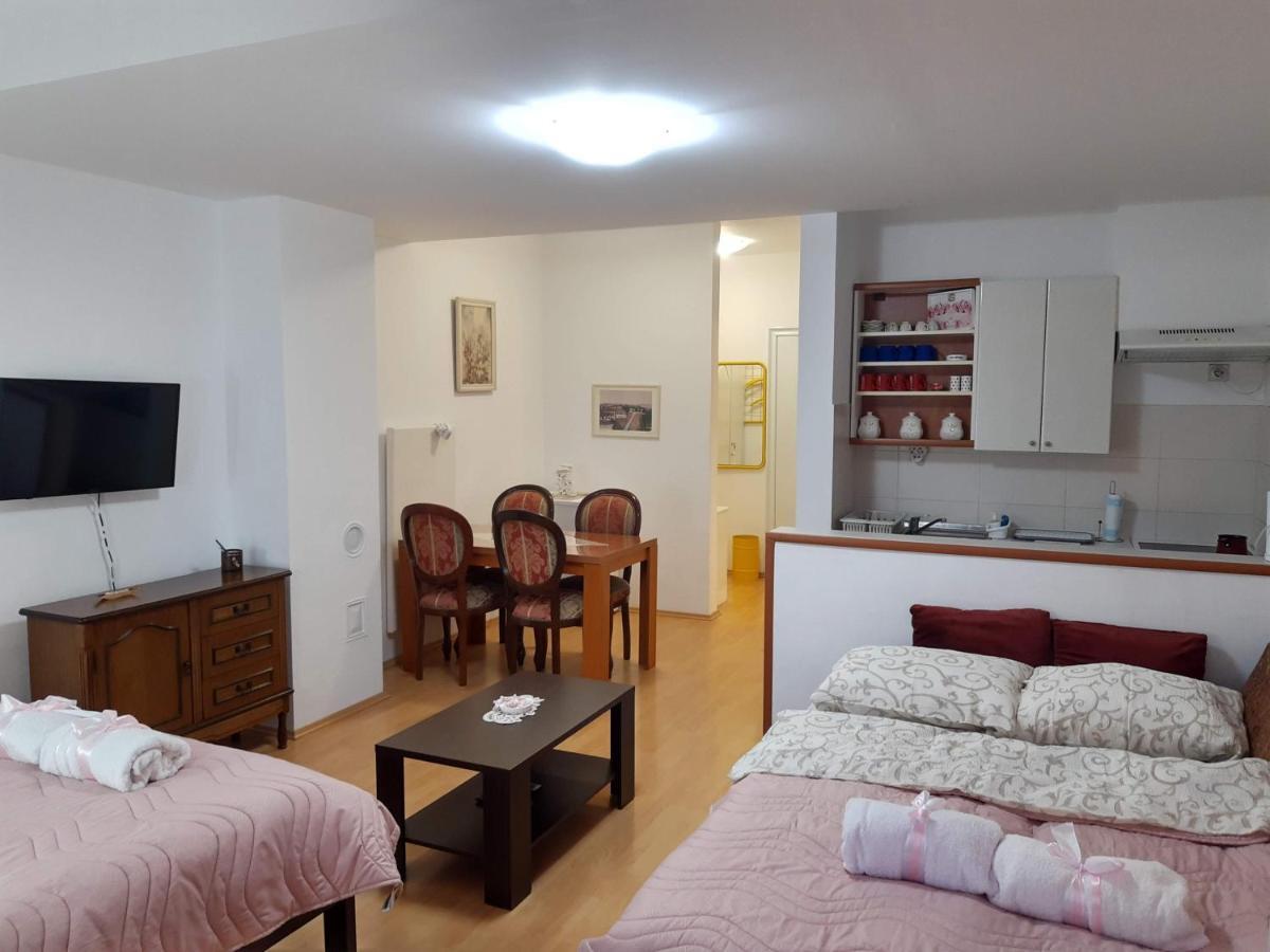 Sky Apartman 索科矿泉村 外观 照片